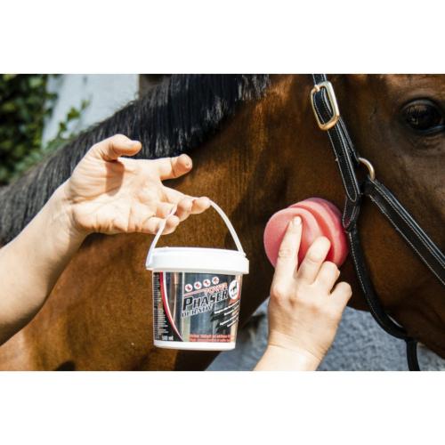 LEOVET - Répulsif insectes Longue Durée avec Eponge POWER PHASER