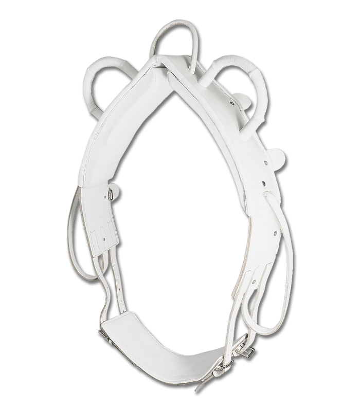 WALDHAUSEN - Surfaix de voltige PRO poignées Rigides en Cuir Matelassé NOIR cheval