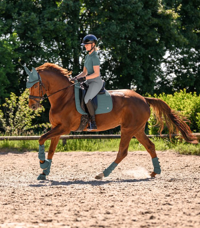 WALDHAUSEN - Chabraque en softshell respirant TRINIDAD NOIR FORME MIXTE