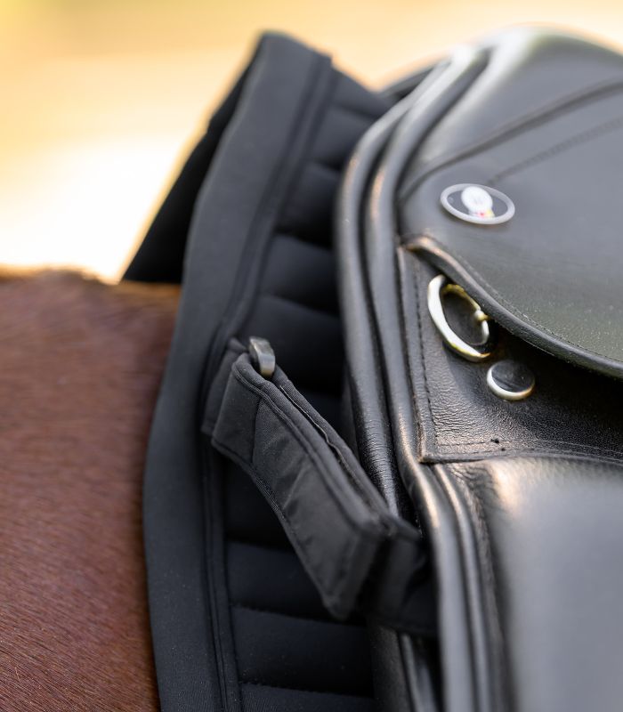 WALDHAUSEN - Chabraque en softshell respirant TRINIDAD NOIR FORME MIXTE