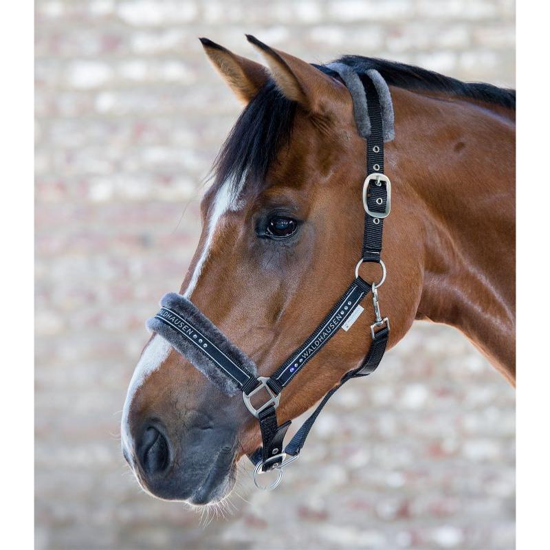 WALDHAUSEN - Licol nylon mouton et Strass ELEGANT PONEY ESPRESSO