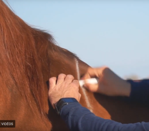 Outil de Mesure d'Ouverture d'Arcade pour Selle anglaise toutes marques