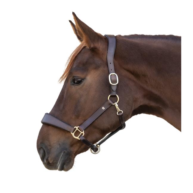 WALDHAUSEN - Licol en cuir matelassé réglable S LINE ANATOMIC NOIR COB