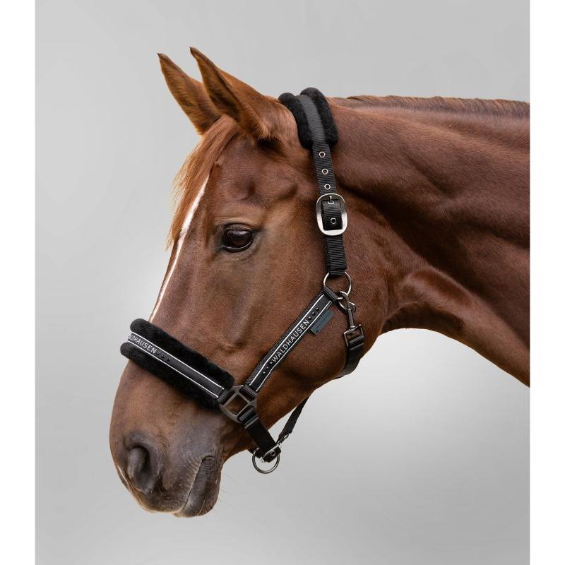 WALDHAUSEN - Licol nylon mouton et Strass ELEGANT PONEY ESPRESSO