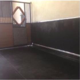 Paroi amortissante box, salle de Poulinage capitonnage 40 MM CENTAURE, au M2