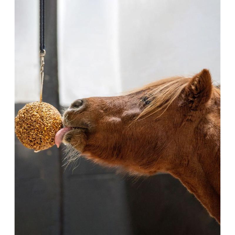 LIKIT- Boule à muesli à suspendre pour le Cheval au box, 1.6KG MELASSE