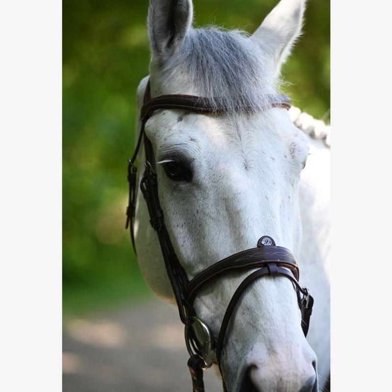 SIGNATURE by ANTARES - Bridon à Muserolle Combinée à Patte Amovible COB