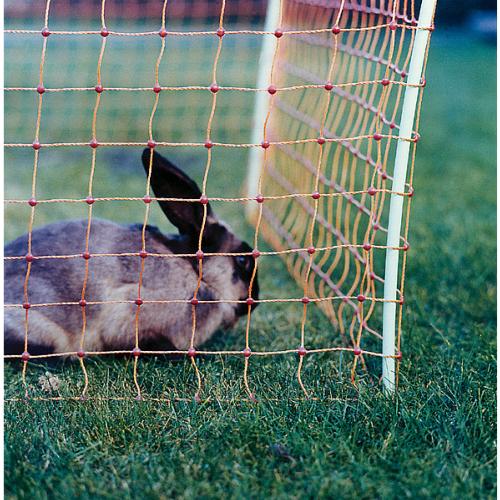 PATURA - Filet Electrique Anti Lapins pour Protection des Cultures, L 50 M 