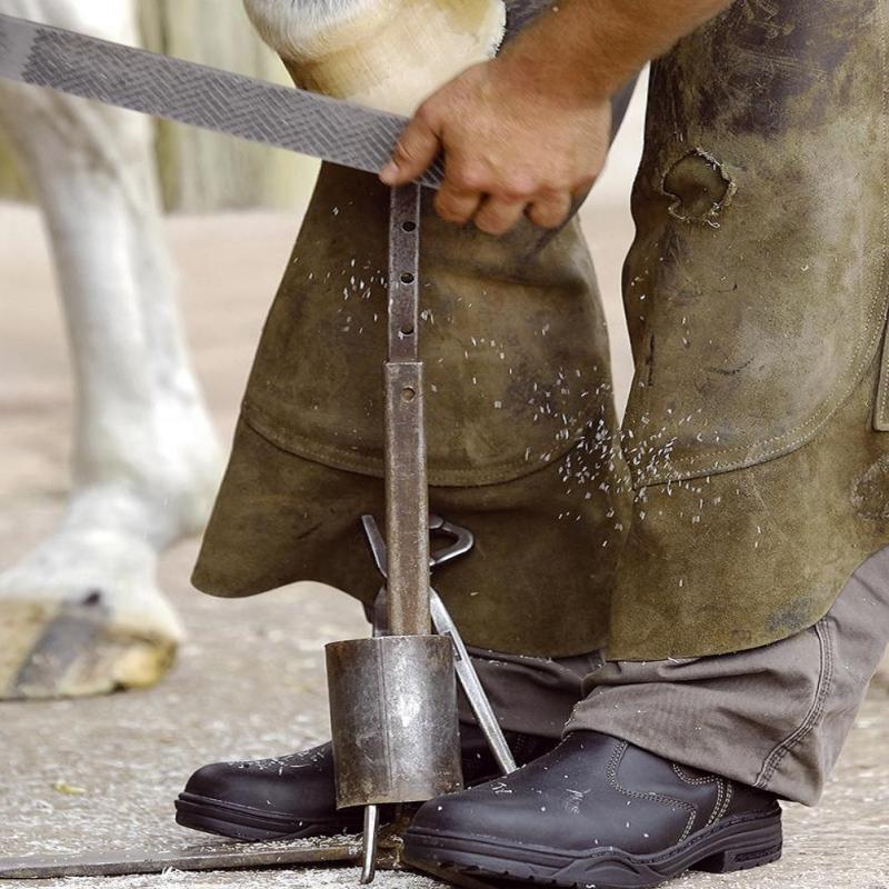 MOUNTAIN HORSE - Boots Sécurité à Coque Acier Groom et Cavalier EN 20345 POINTURE