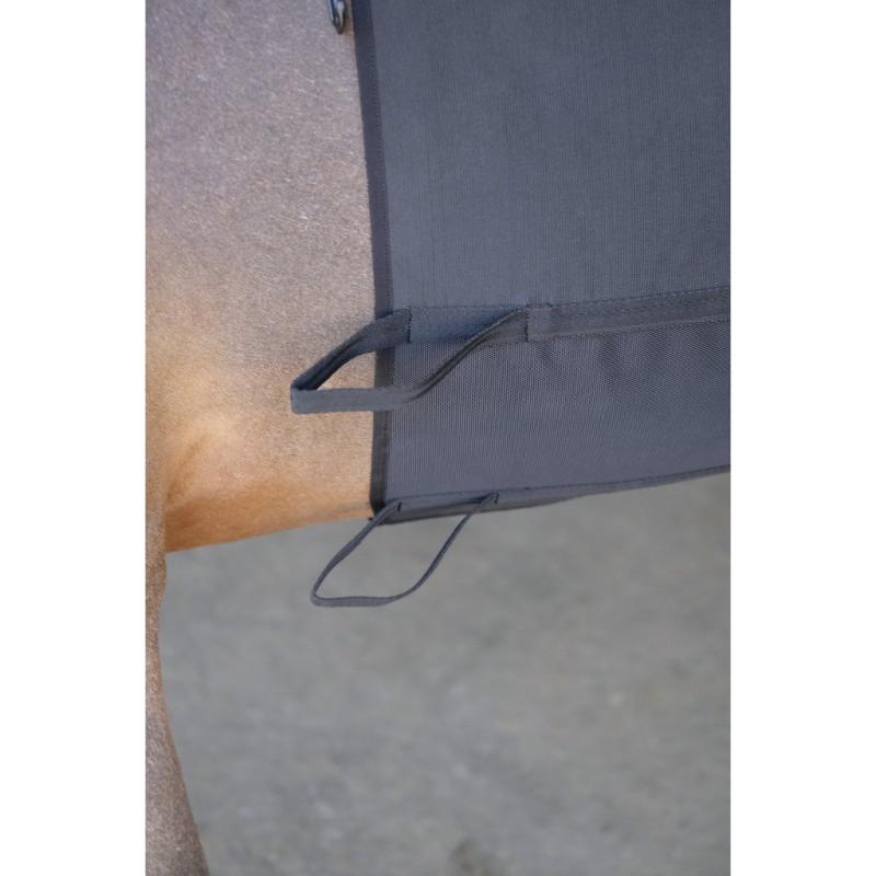 NORTON - Bande de Respect Elastique Protection d'éperon TAILLE S PONEY