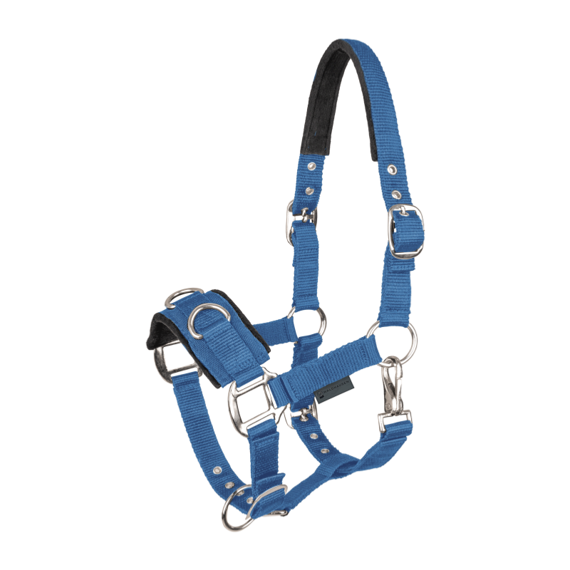 WALDHAUSEN - Caveçon matelassé multi anneaux Ecomonic NOIR PONEY