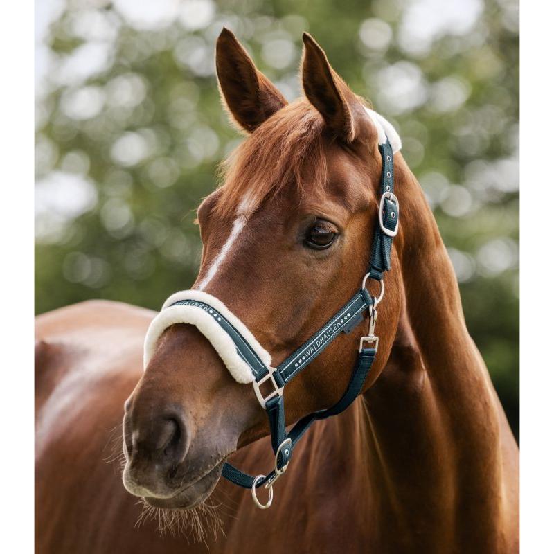 WALDHAUSEN - Licol nylon mouton et Strass ELEGANT PONEY ESPRESSO