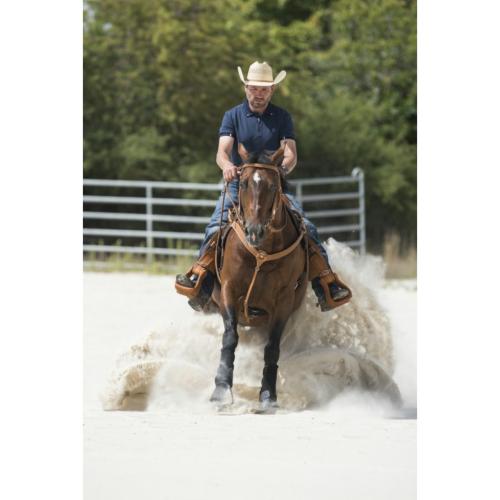 FRANCK PERRET - Collier de chasse cuir basket WESTERN AURORA WESTRIDE