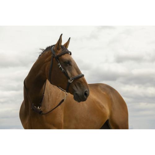 NORTON - Longe de Randonnée Nylon et Cuir cheval
