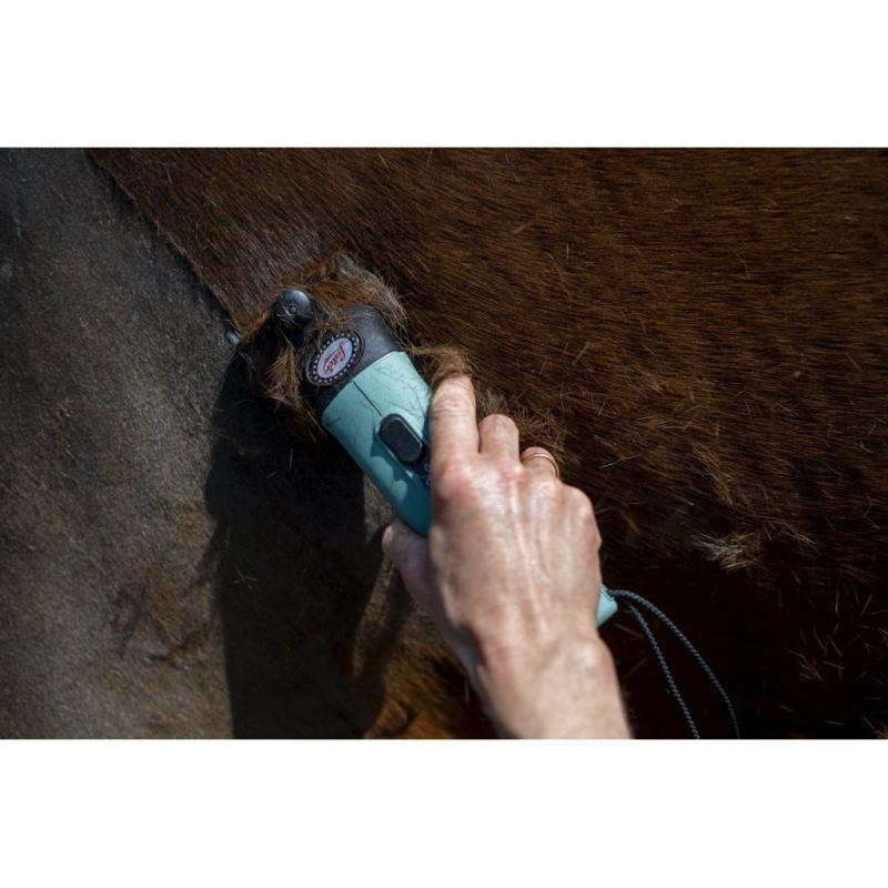 LISTER STAR - Tondeuse chevaux PRO Filaire avec sacoche