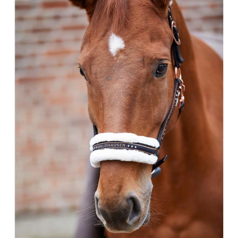 WALDHAUSEN - Licol nylon mouton et Strass ELEGANT PONEY ESPRESSO