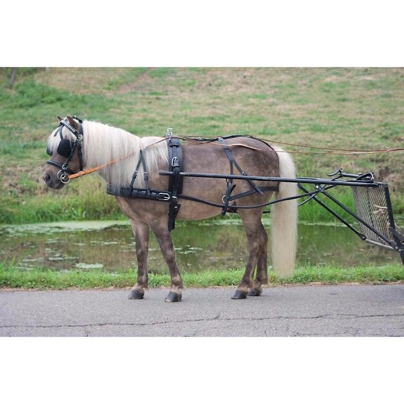 Harnais d'Attelage  Complet Cuir Mini Shetland à Poney , STAR